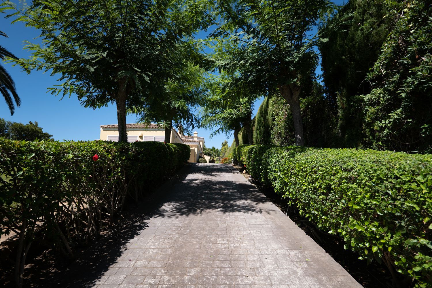 Casa o chalet independiente en Alto, 1, Sotogrande Costa, Sotogrande Costa - Foto 5