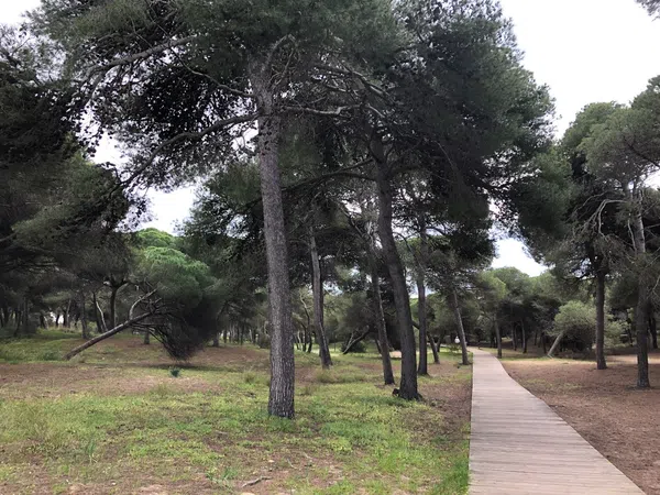 Piso en Avenida de Los Corrales, 1, Bahia Luz - La Forestal, Bahia Luz - La Forestal - Foto 32