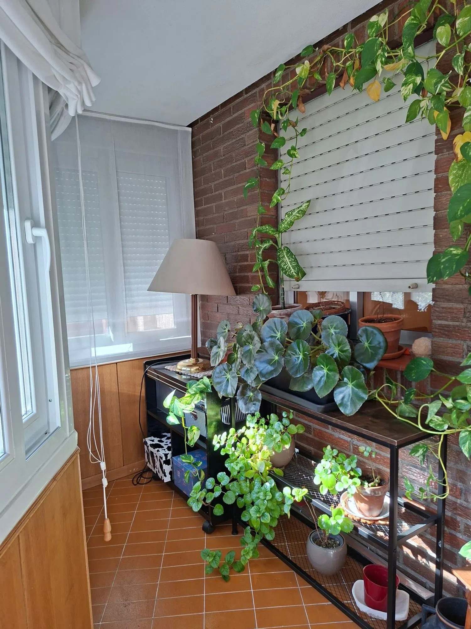 Piso en Barrio Media Legua - Foto 30