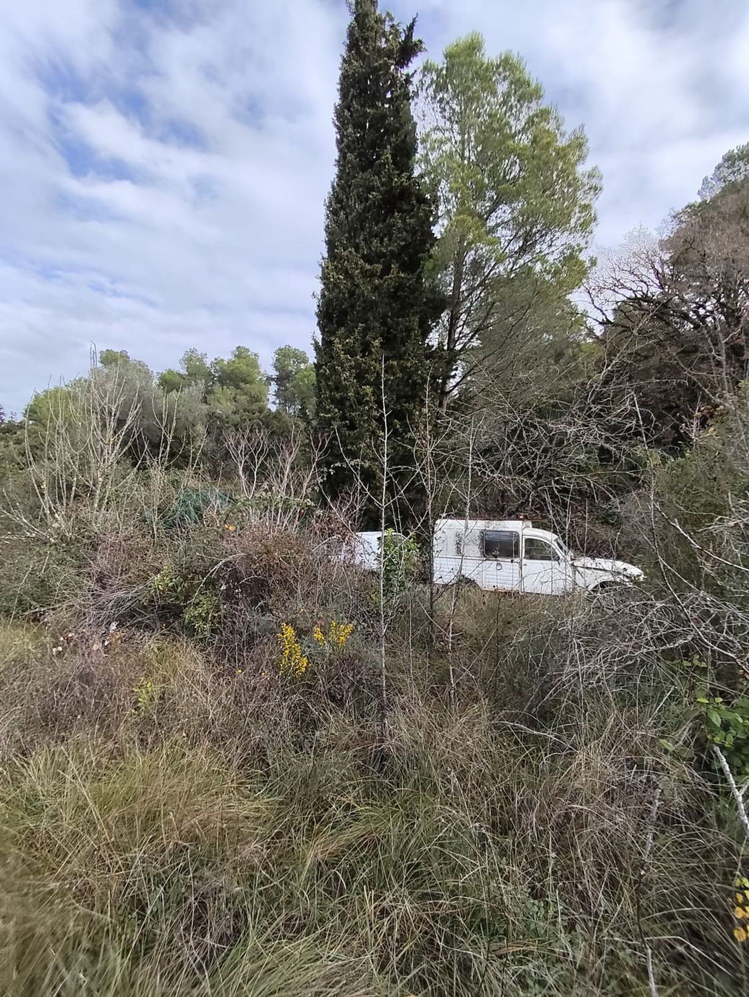 Finca rústica en Vall de sant Marc, la torrussolla s/n - Foto 3