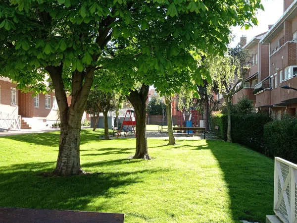 Dúplex en Barrio Prado de Santo Domingo - Foto 4