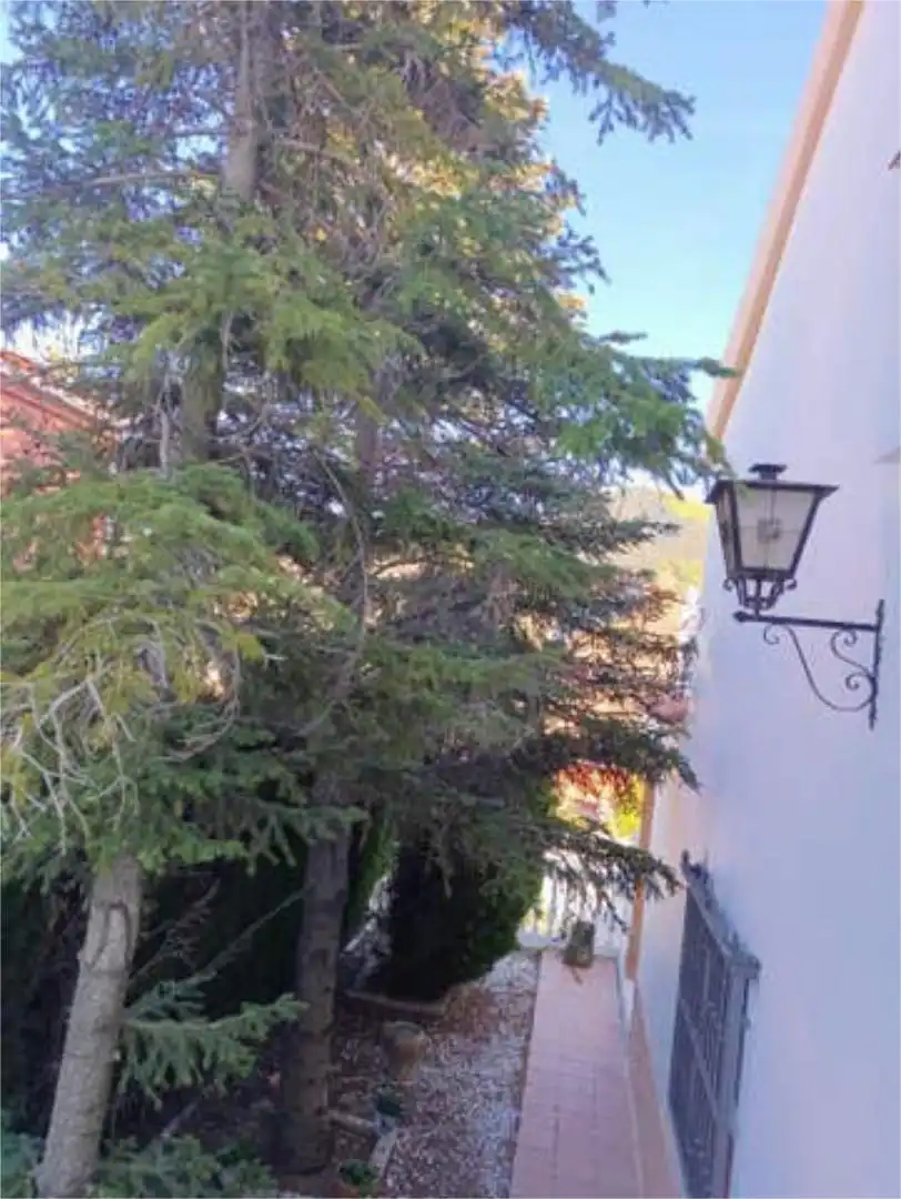 Chalet en Pinos Genil granada - Foto 5