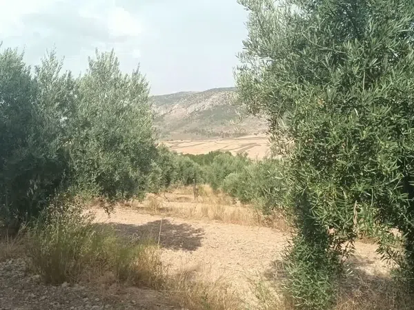 Cortijo en Cortijo en cortijo el cigaral s/n - Foto 8