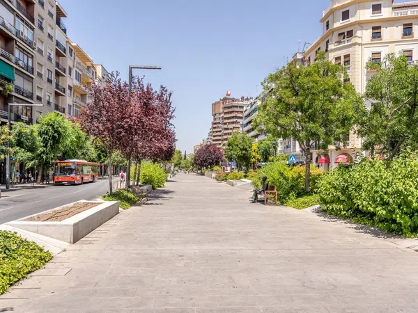 Piso en Calle Almona de San Juan de Dios, 16 - 3 - a, Gran Capitán - Foto 18
