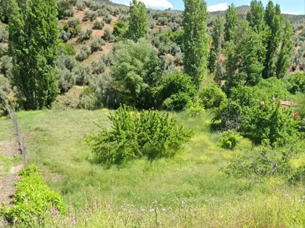 Casa de pueblo en Aldea s/n - Foto 9