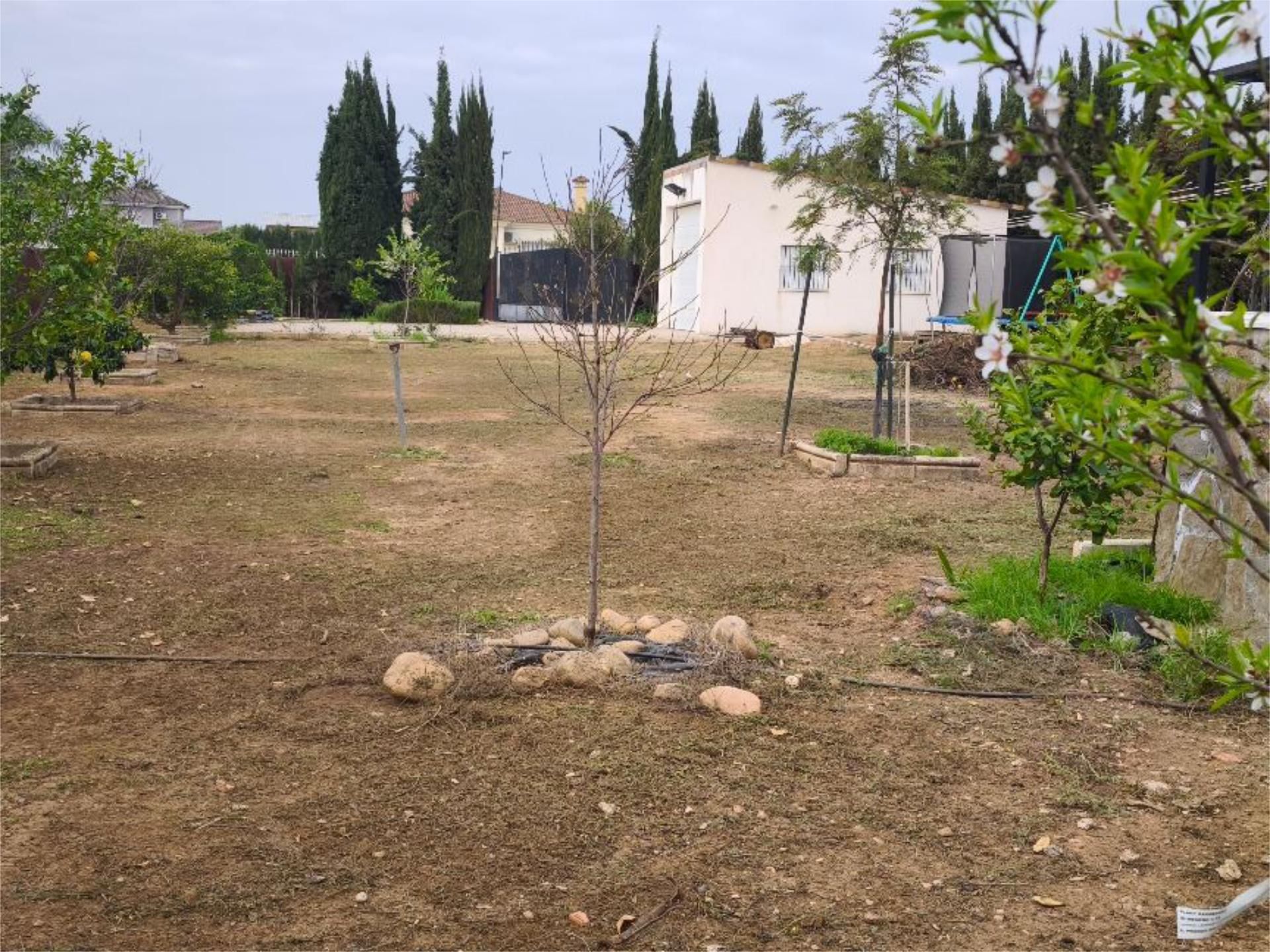 Chalet en  Calle Córdoba 1 - Foto 4