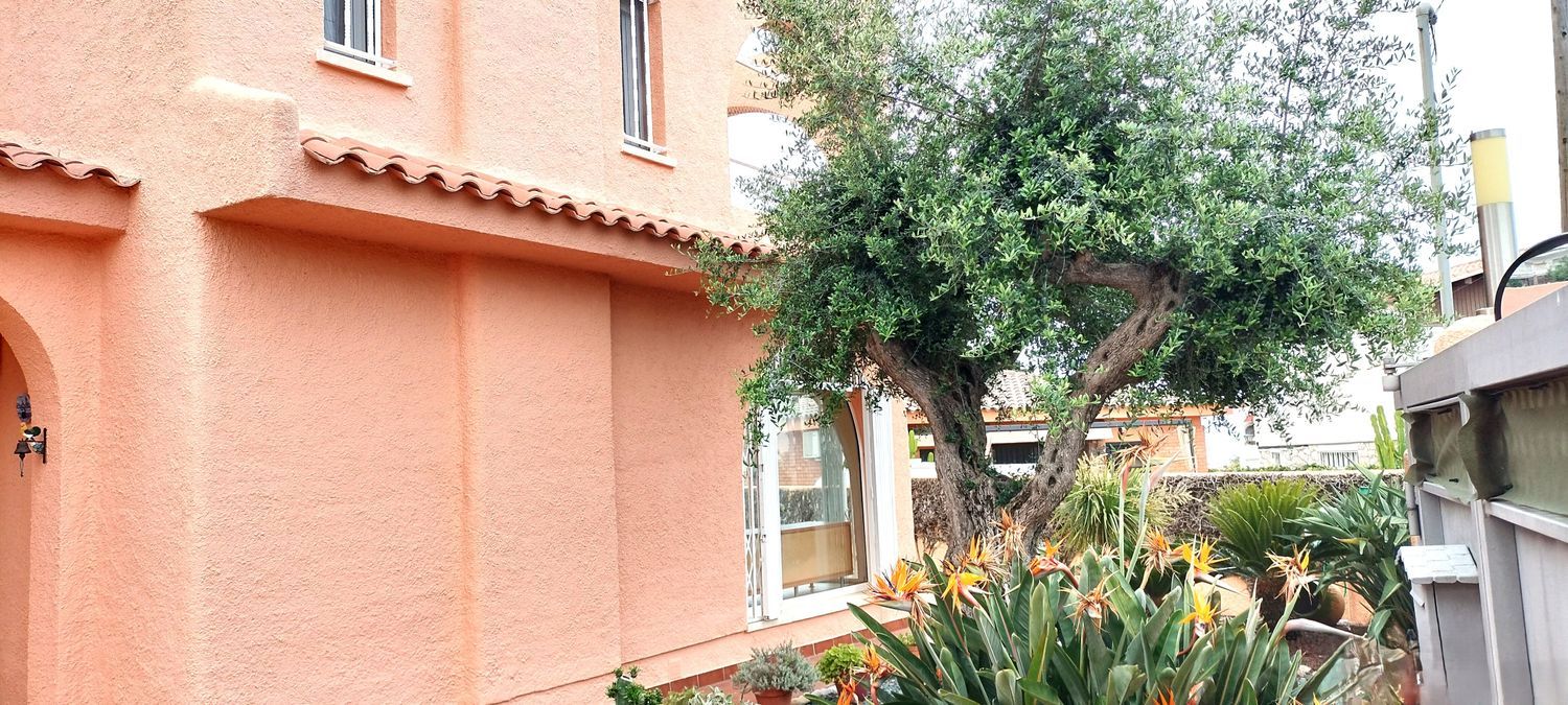 Casa o chalet independiente en Nucli Urbà - Foto 32