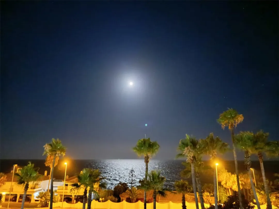 Piso en  Calle Catalpa 3 - Foto 4