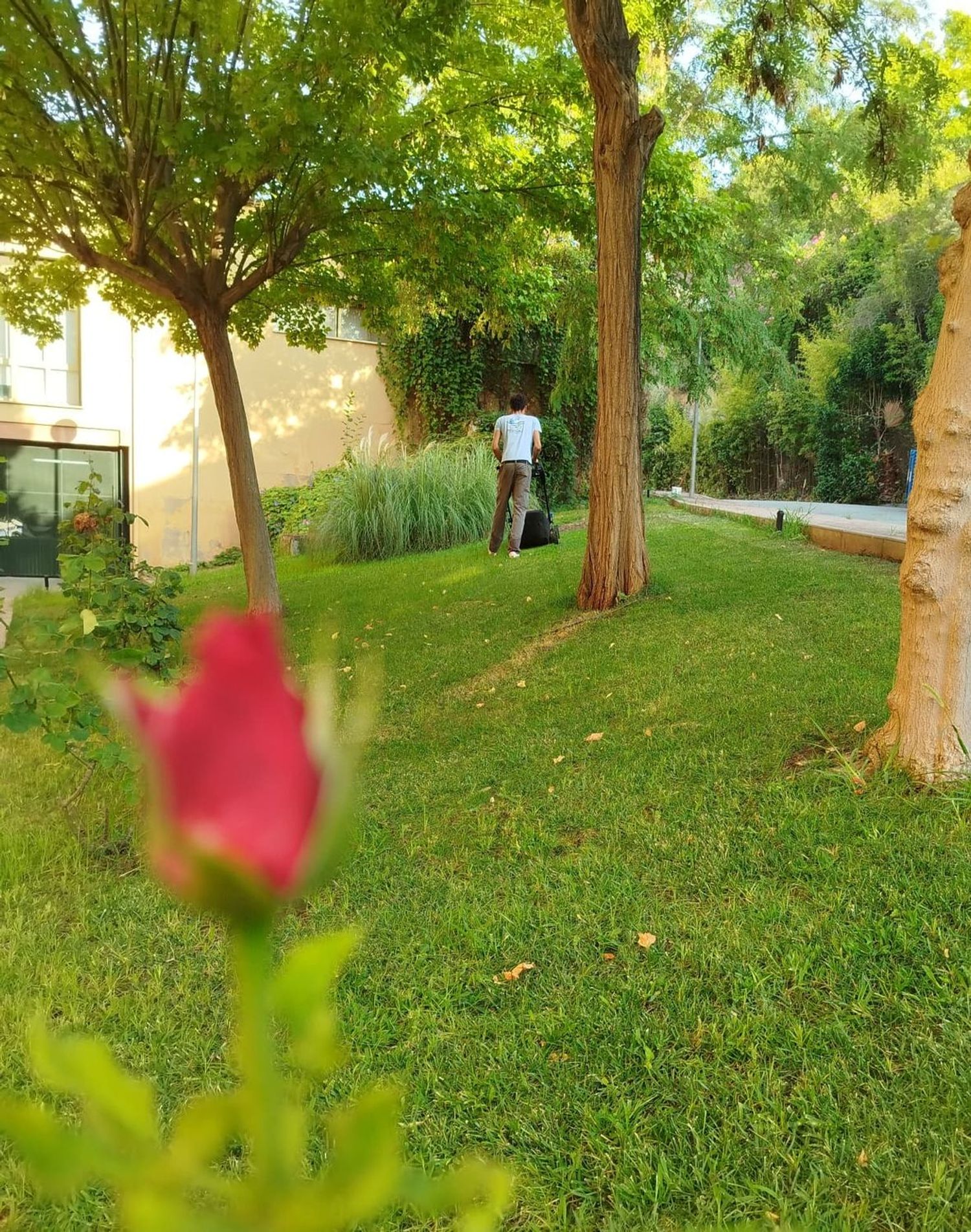 Piso en calle Escultor Freila Guevara, 14 - Foto 18