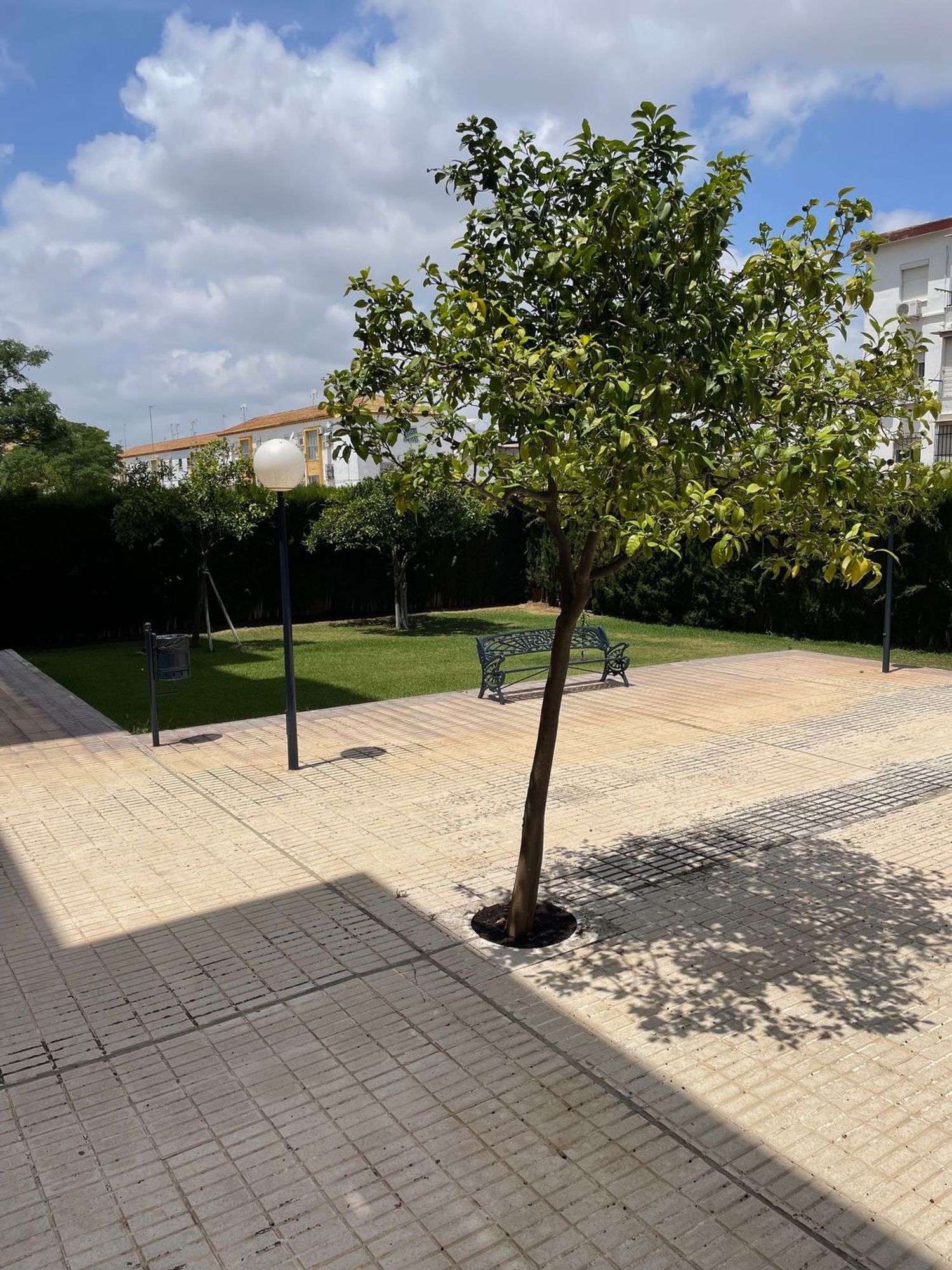 Piso en Calle Alfonso Lasso de la Vega, 17, Tiro de Línea - Foto 23