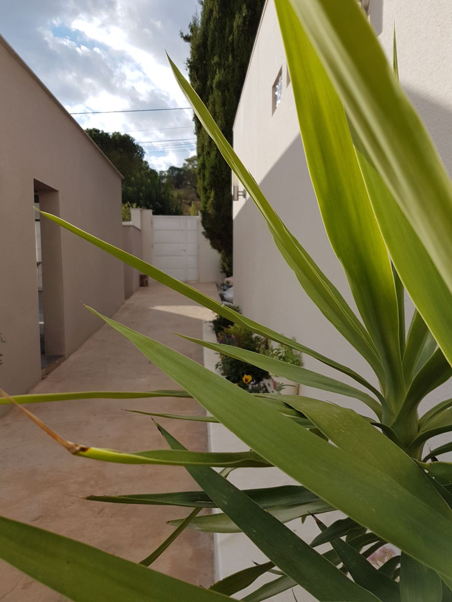 Casa o chalet independiente en Altos de Jarama, Altos de Jarama - Foto 12