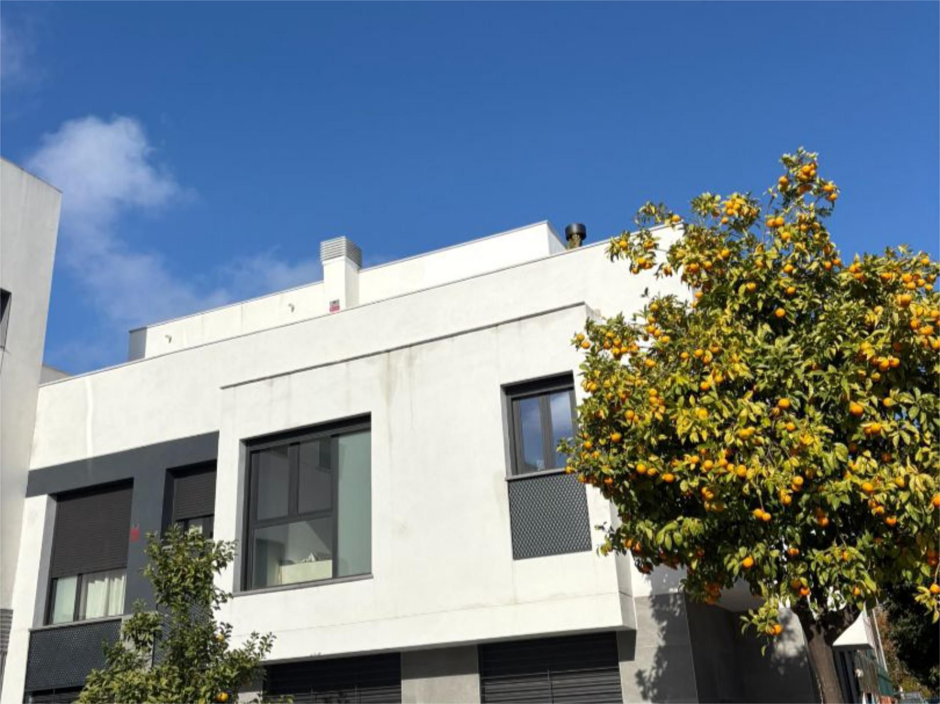 Piso en  Calle Fragata 2 - Foto 33