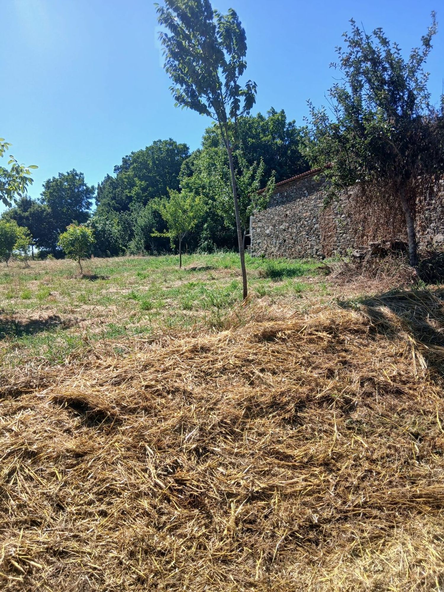 Casa de pueblo en Santiso, 1 - Foto 19