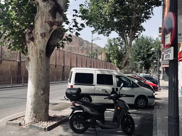 Piso en Avenida Doctor García Rogel, 14, Orihuela Ciudad, Orihuela Ciudad - Foto 14