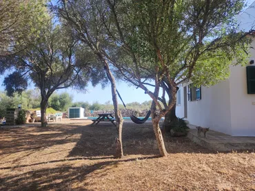 Chalet en  Diseminado Sant Tomeu 1 - Foto 5