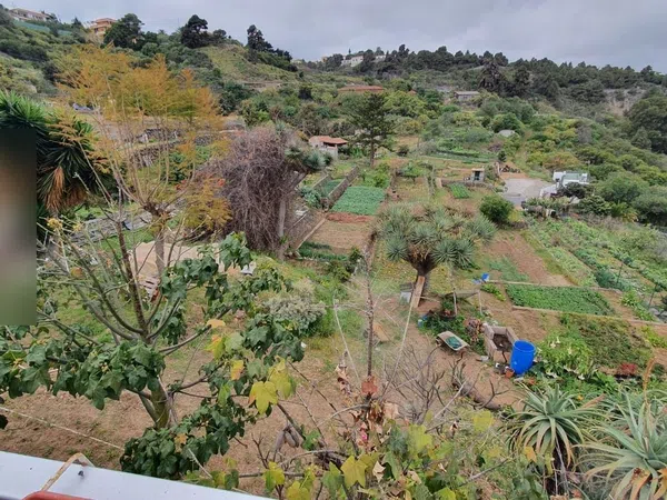 Finca rústica en Buen Paso s/n, Buen Paso-La Mancha, Buen Paso-La Mancha - Foto 12