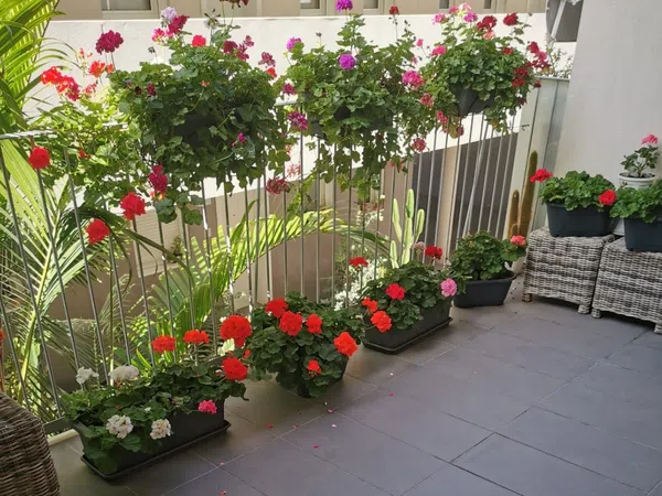 Piso en avenida de los Vientos, 20 - Foto 1