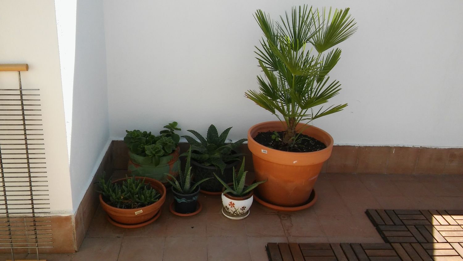 Ático en Travesía Gabino, 19 - Foto 28
