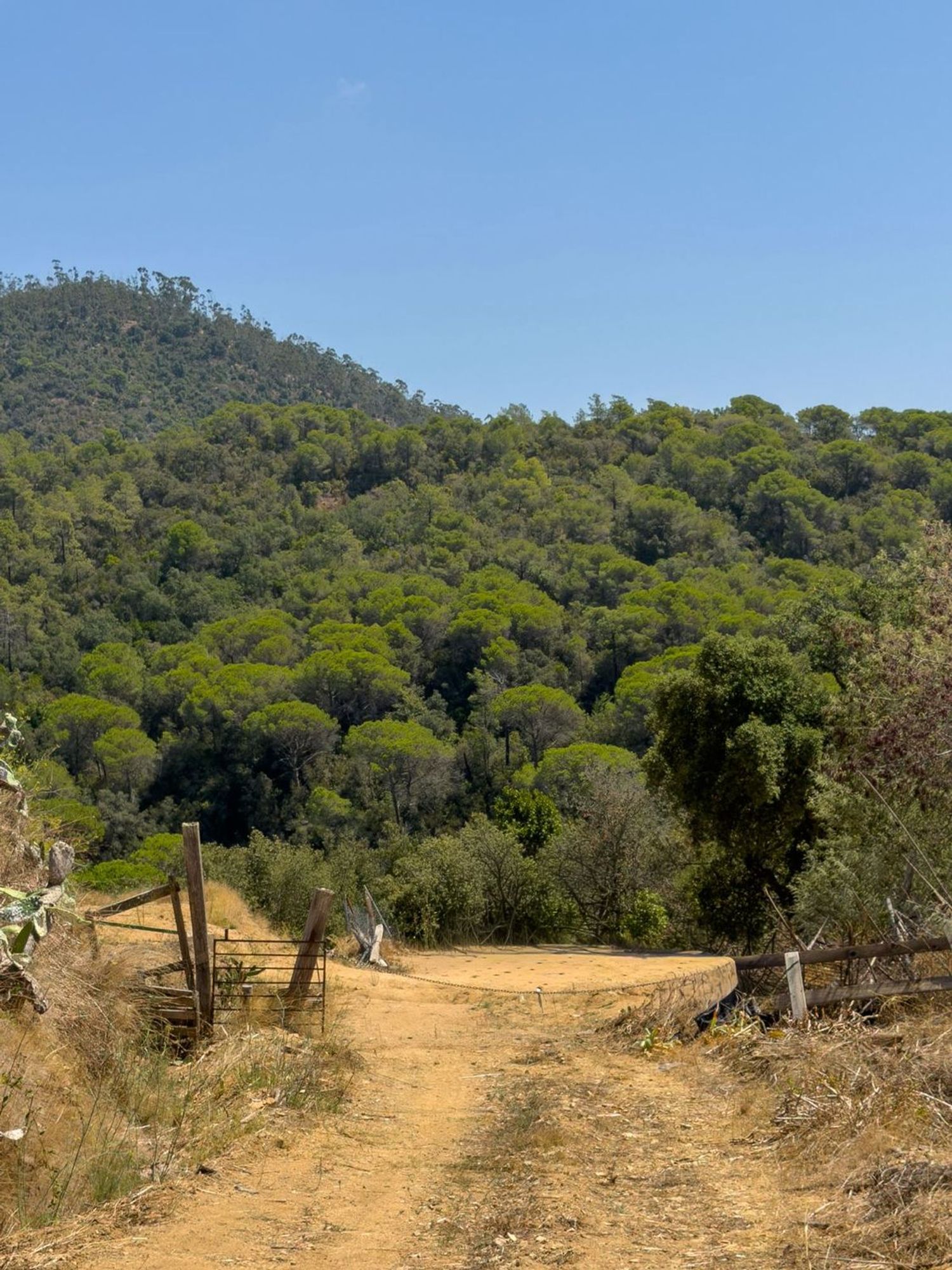 Masía en Masía en Diseminado Veinat de Sant Daniel, 104, Mas Mora - Sant Daniel, Mas Mora - Sant Daniel - Foto 14