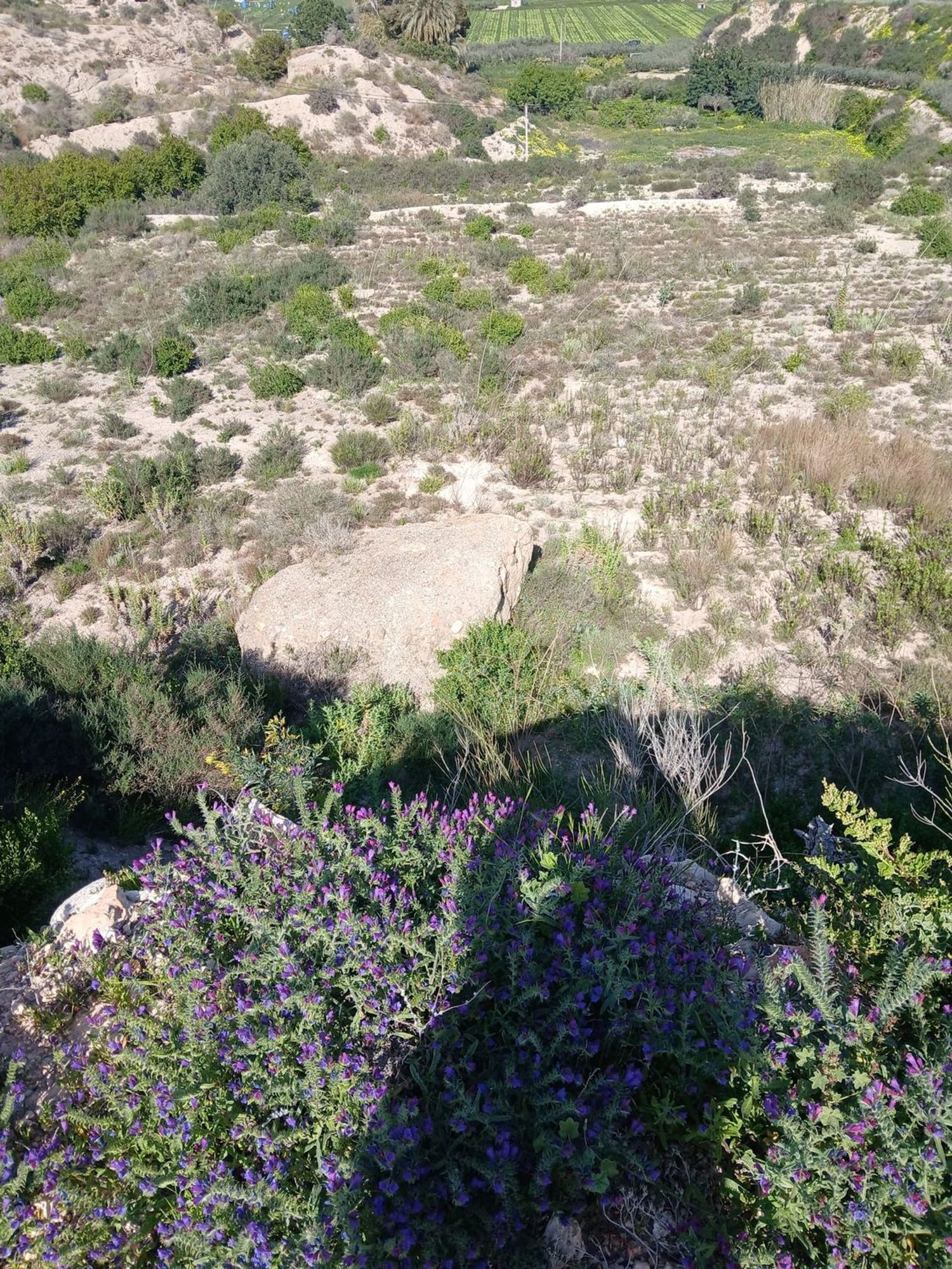 Cortijo en Barriada las Cunas s/n - Foto 5