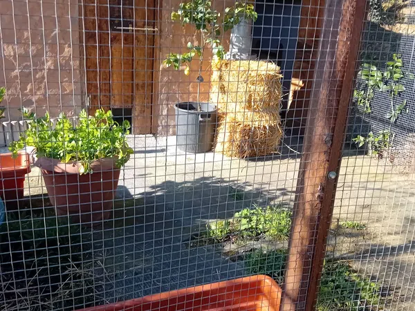 Casa de pueblo en Fontal, 5 - Foto 19