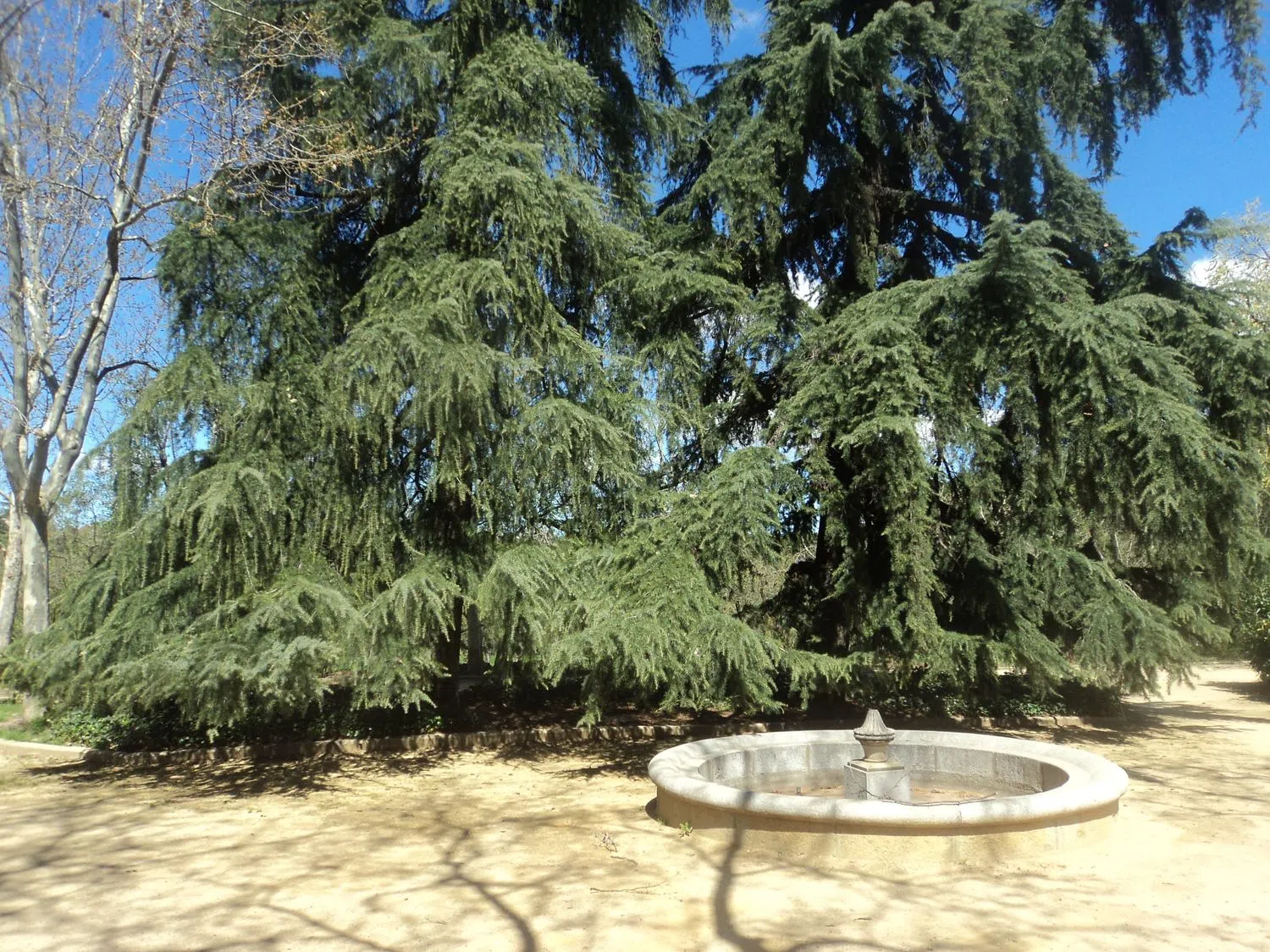 Piso en calle Alcalá, 508 - Foto 23