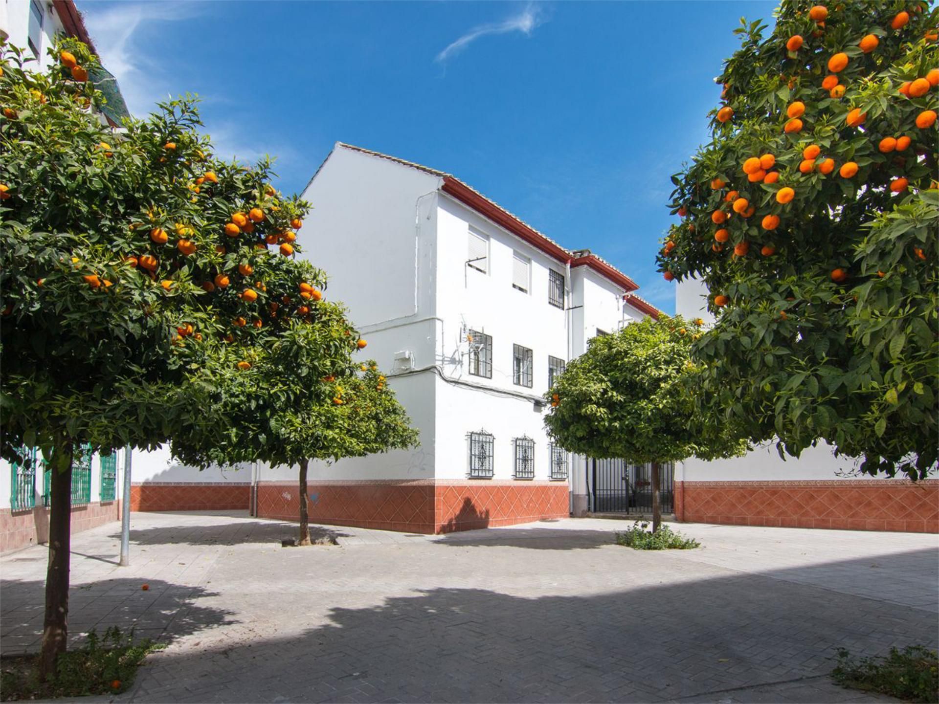 Piso en  Calle Maestro Moreno Torroba 4 - Foto 6