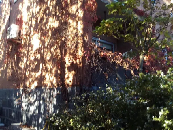 Chalet adosado en Las Colmenas, 32, La Navata, La Navata - Foto 7