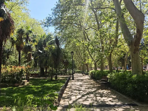 Piso en calle Virgen del Sagrario, 17