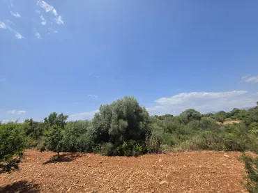 Finca rústica en  Masia els Michans 1 - Foto 4