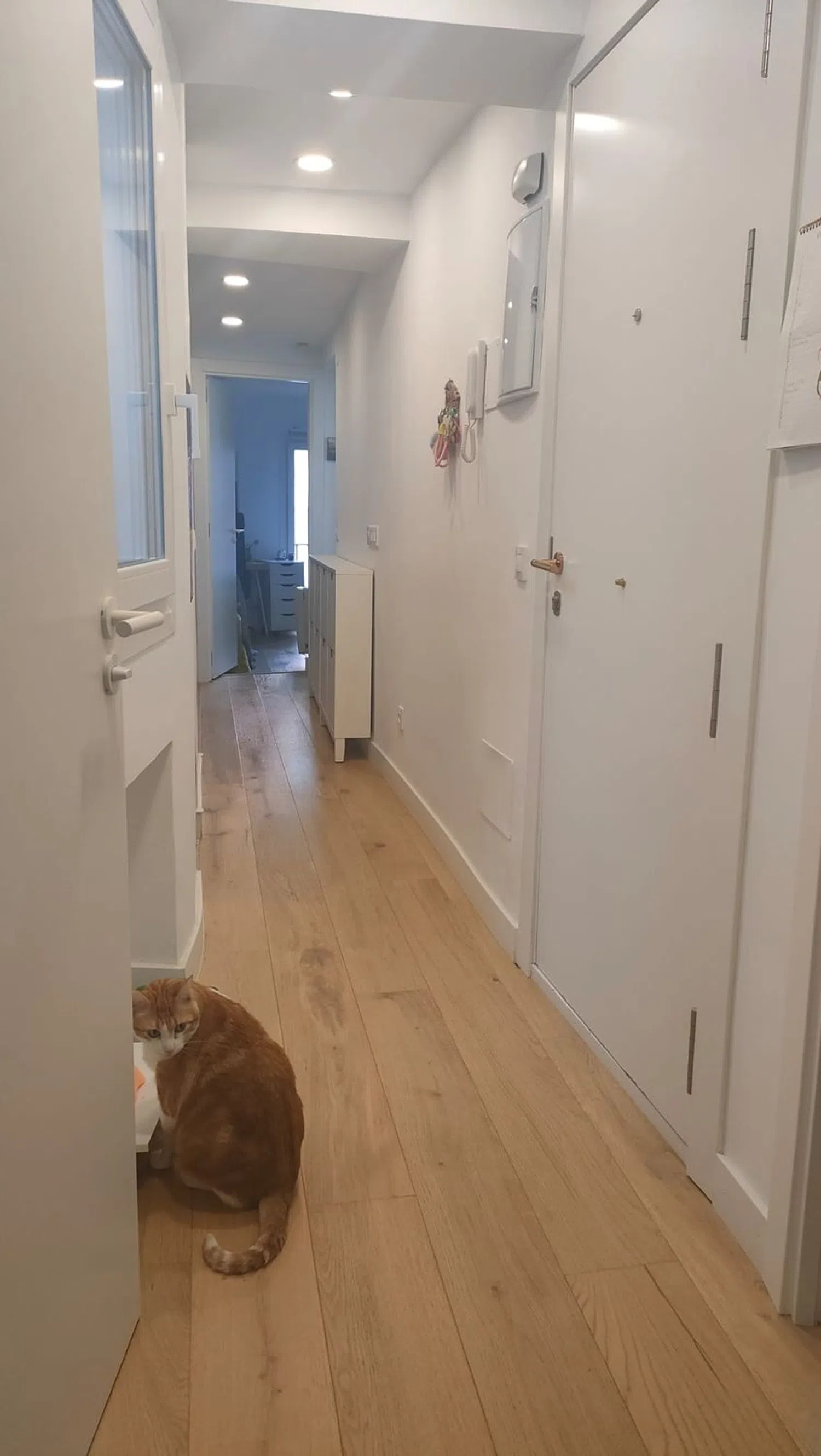 Piso en calle del Álamo, 8 - Foto 12