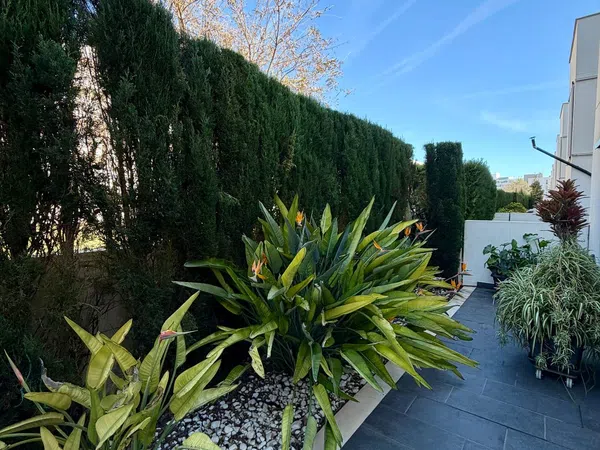 Chalet adosado en calle de la Fotja, 3 - Foto 5