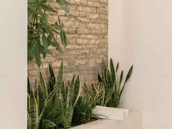 Loft en Mont-Olivet, Mont-Olivet - Foto 2