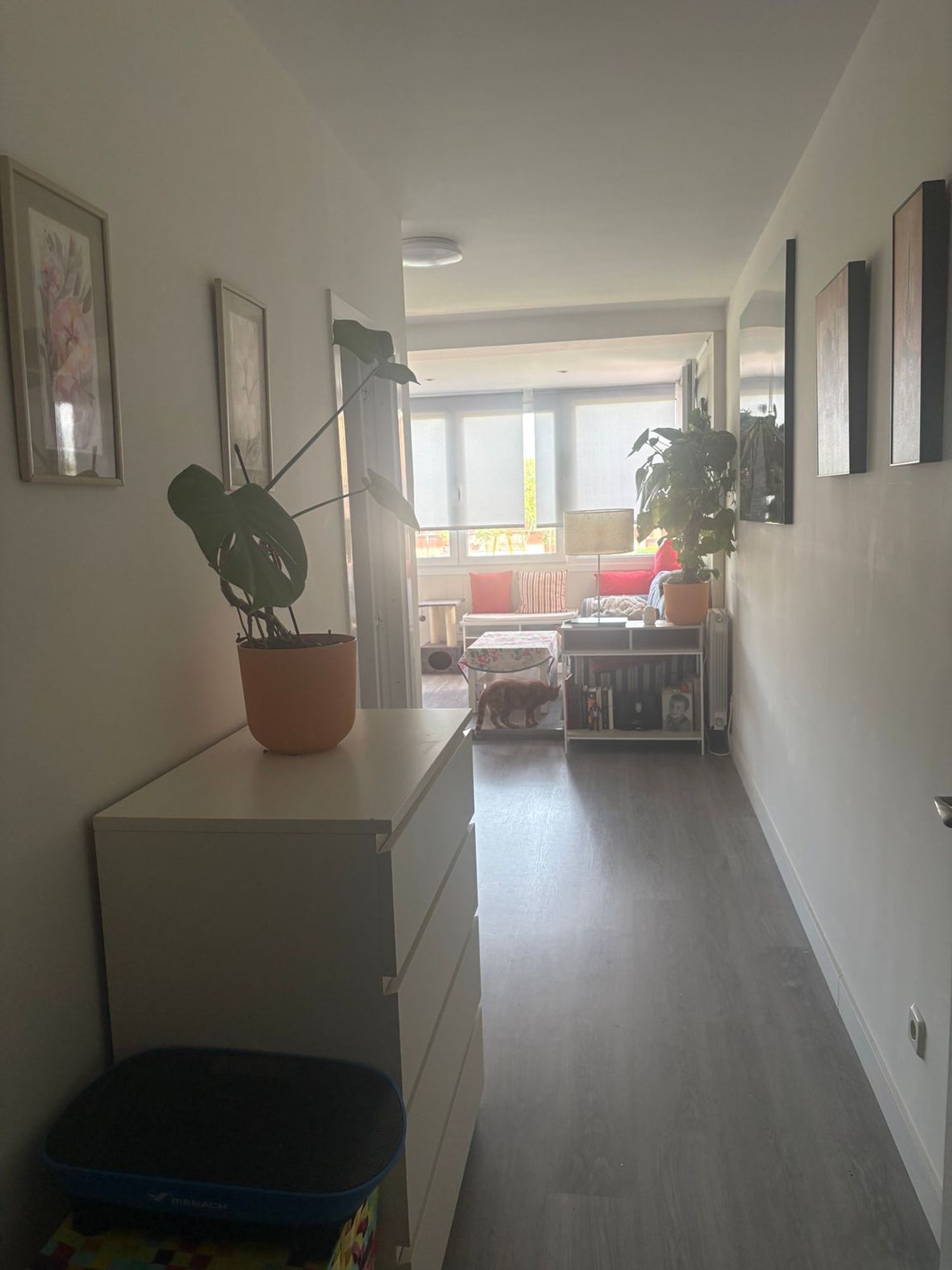 Piso en Calle Isla de Lobeira, 106, Parque de la Coruña - Las Suertes, Parque de la Coruña - Las Suertes - Foto 16