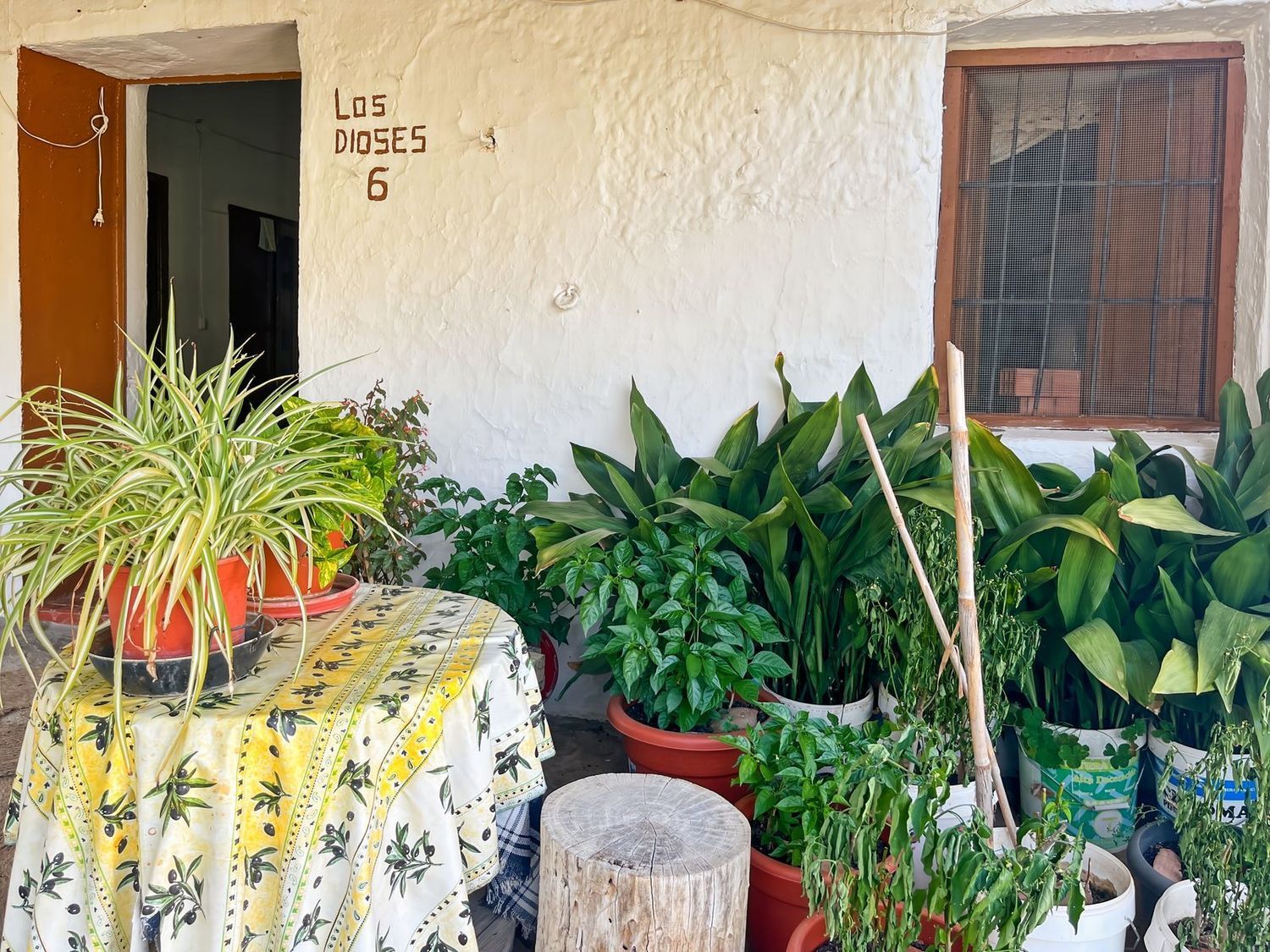Finca rústica en Los Dioses, 6 - Foto 7