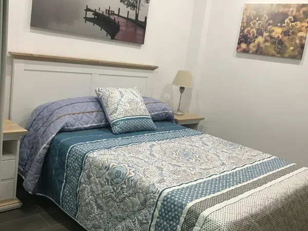 Estudio en Calle Pintor Monserrat, Santa Rosa - San José - Foto 5