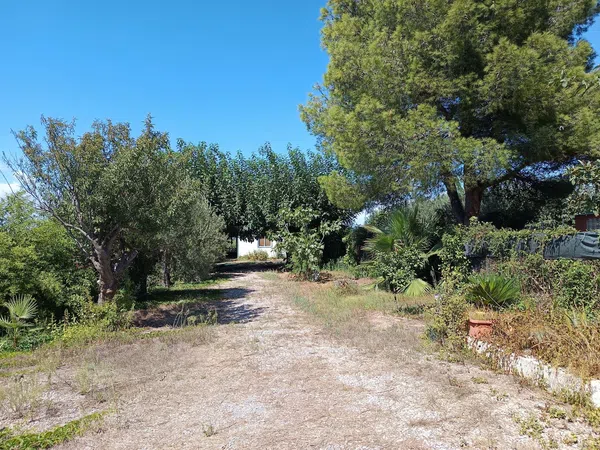 Cortijo en Cortijo en Partida Poligono 22, 220, Zona Llombai, Zona Llombai - Foto 17