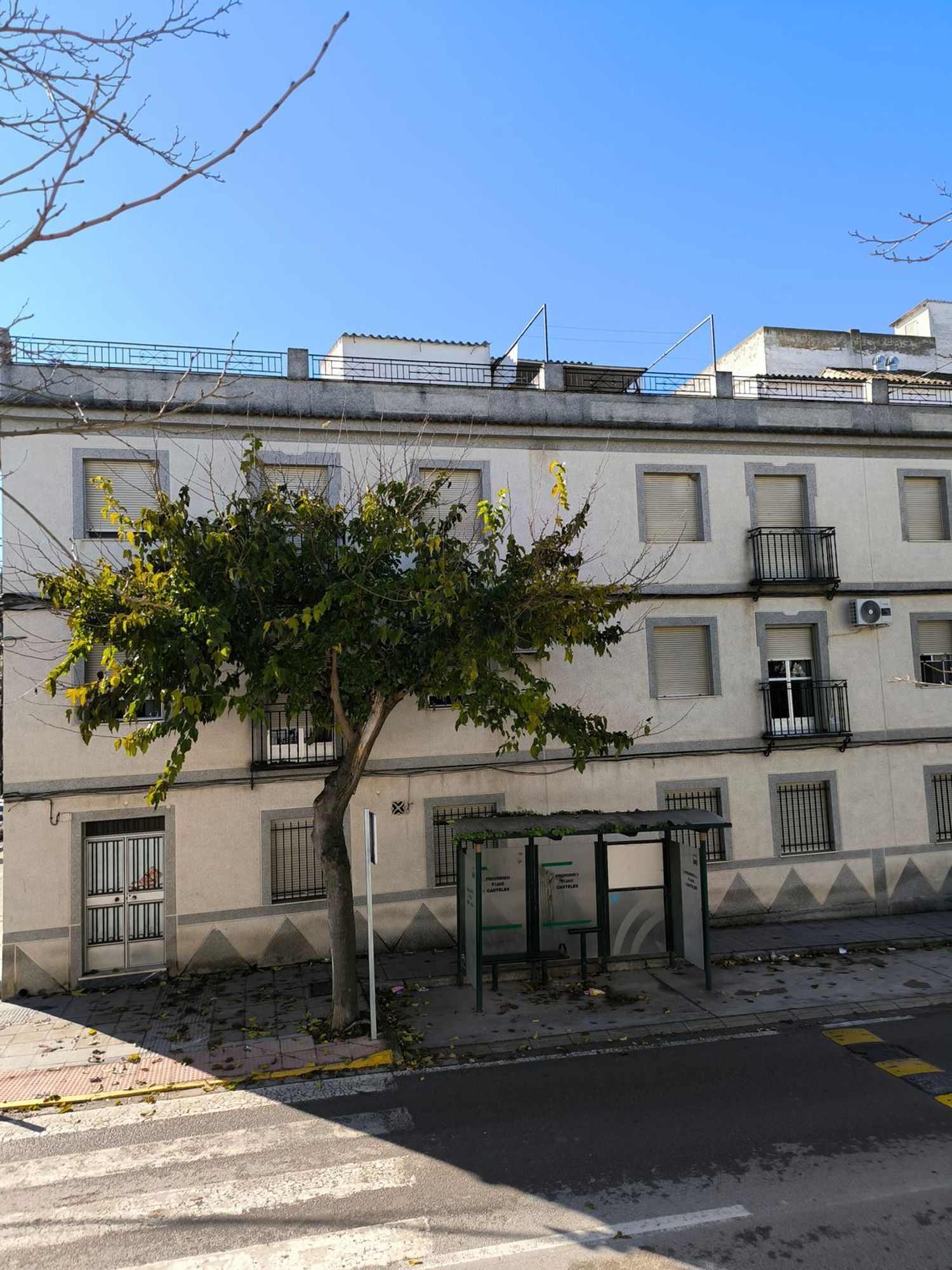 Piso en Avenida de la Constitución, 50 - Foto 2