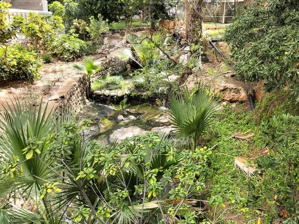 Piso en Avenida de Montecarlo, 26, Zona Sierra Helada - Foto 19