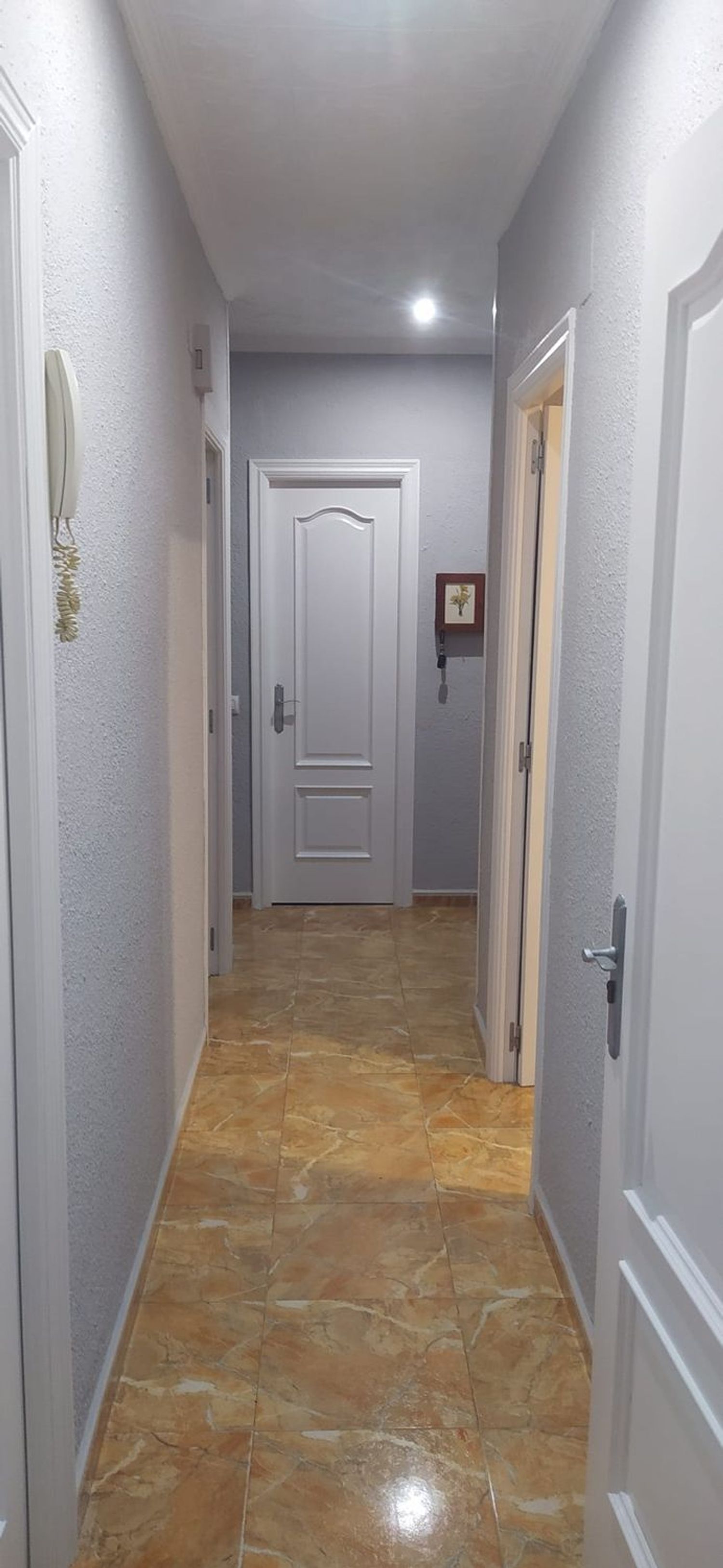 Casa o chalet independiente en Calle Clavellinas, 28, Ciudad Jardín, Ciudad Jardín - Foto 3