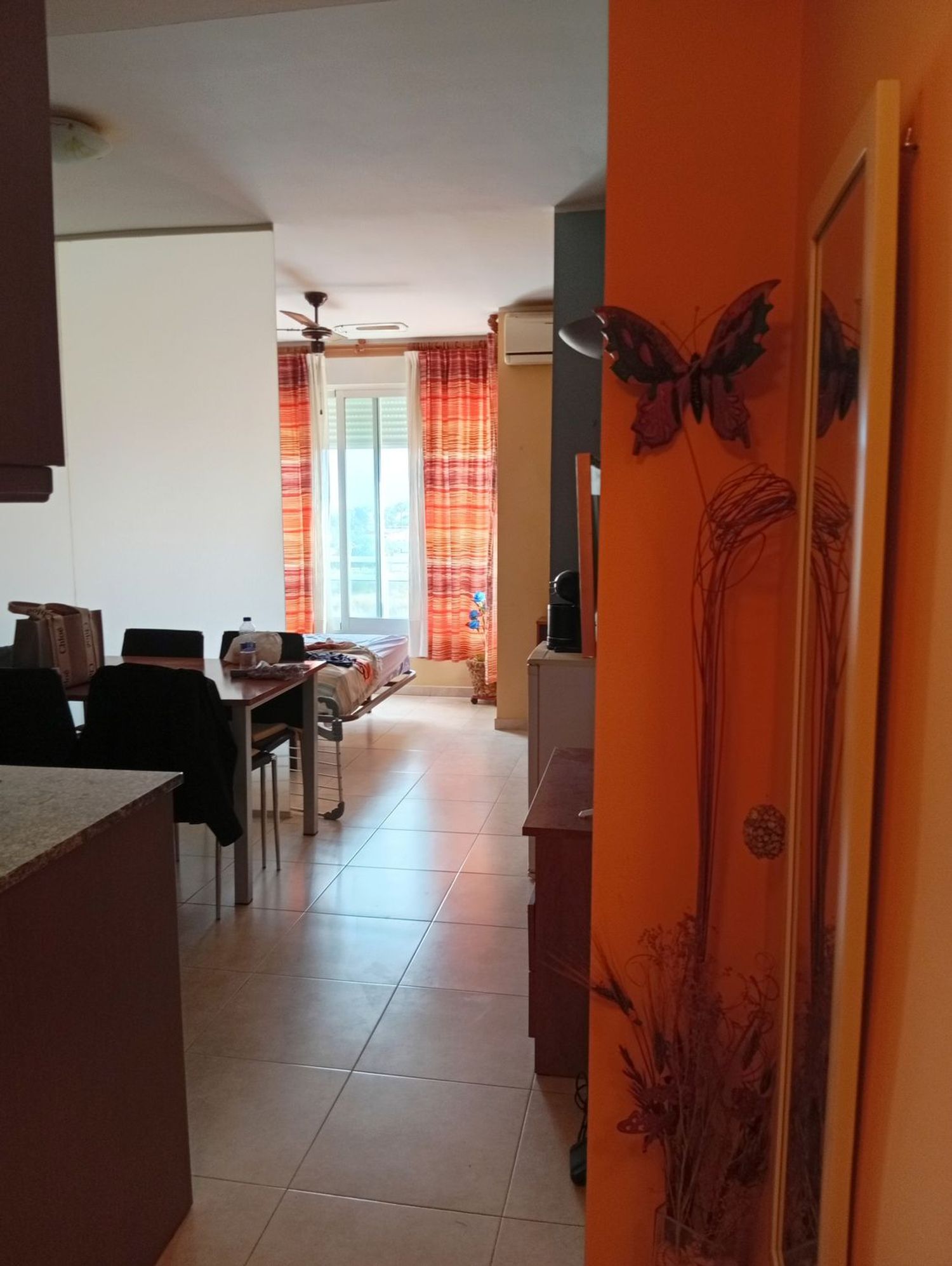 Estudio en Avenida de la Llibertat, 49, Zona Pueblo, Zona Pueblo - Foto 5