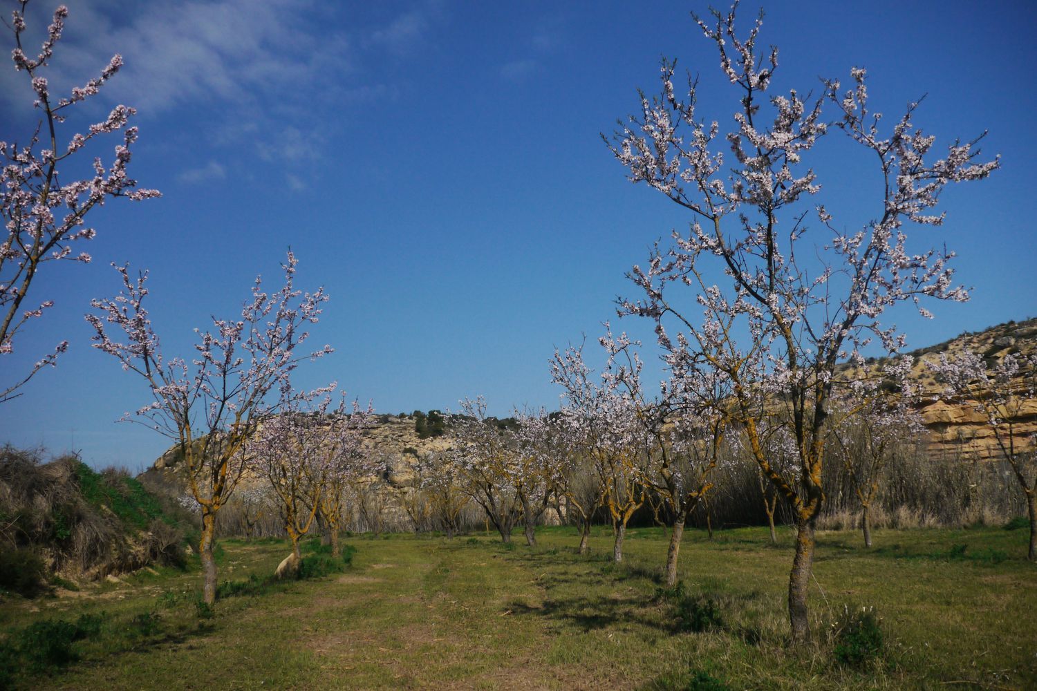 Finca rústica en Huerta Zaragoceta s/n - Foto 28