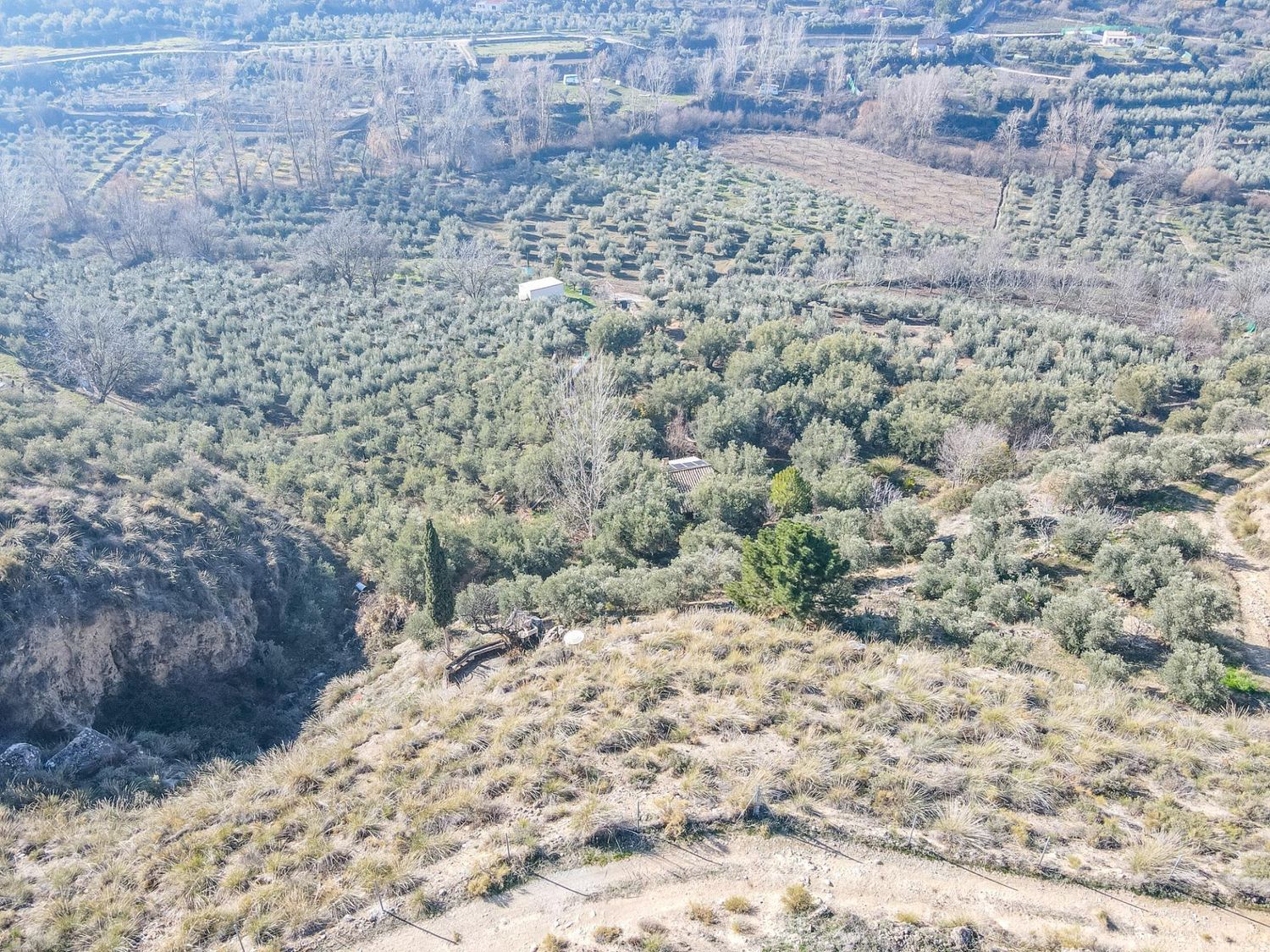 Cortijo en Solana s/n - Foto 16