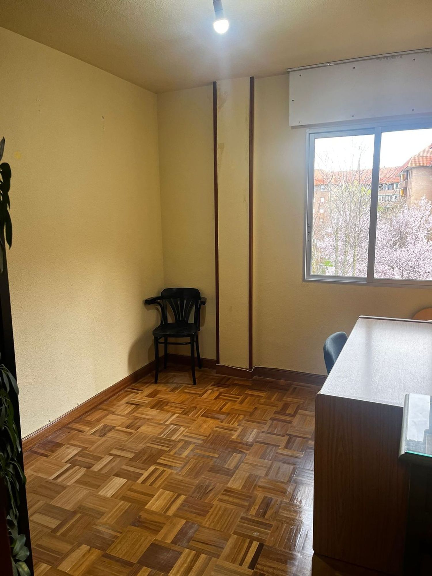 Piso en Cordoba s/n Nd - Foto 5