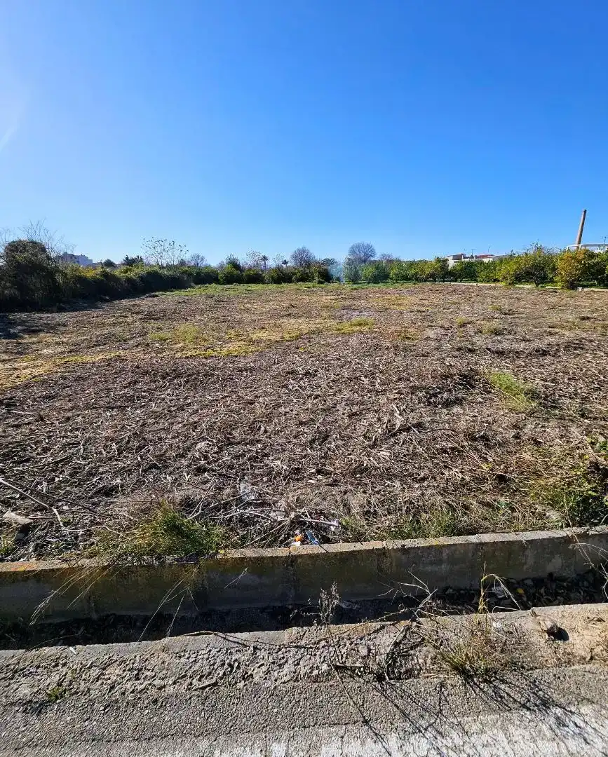 Terreno Residencial en  Camino de la Olma 28 - Foto 4