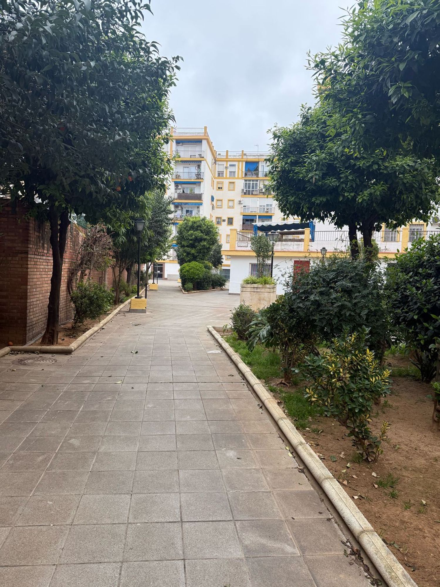 Piso en plaza Giraldillo, 5 - Foto 10