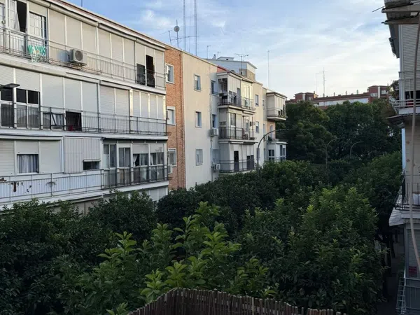 Piso en Calle Araquil, 4, El Juncal - El Plantinar - Foto 1