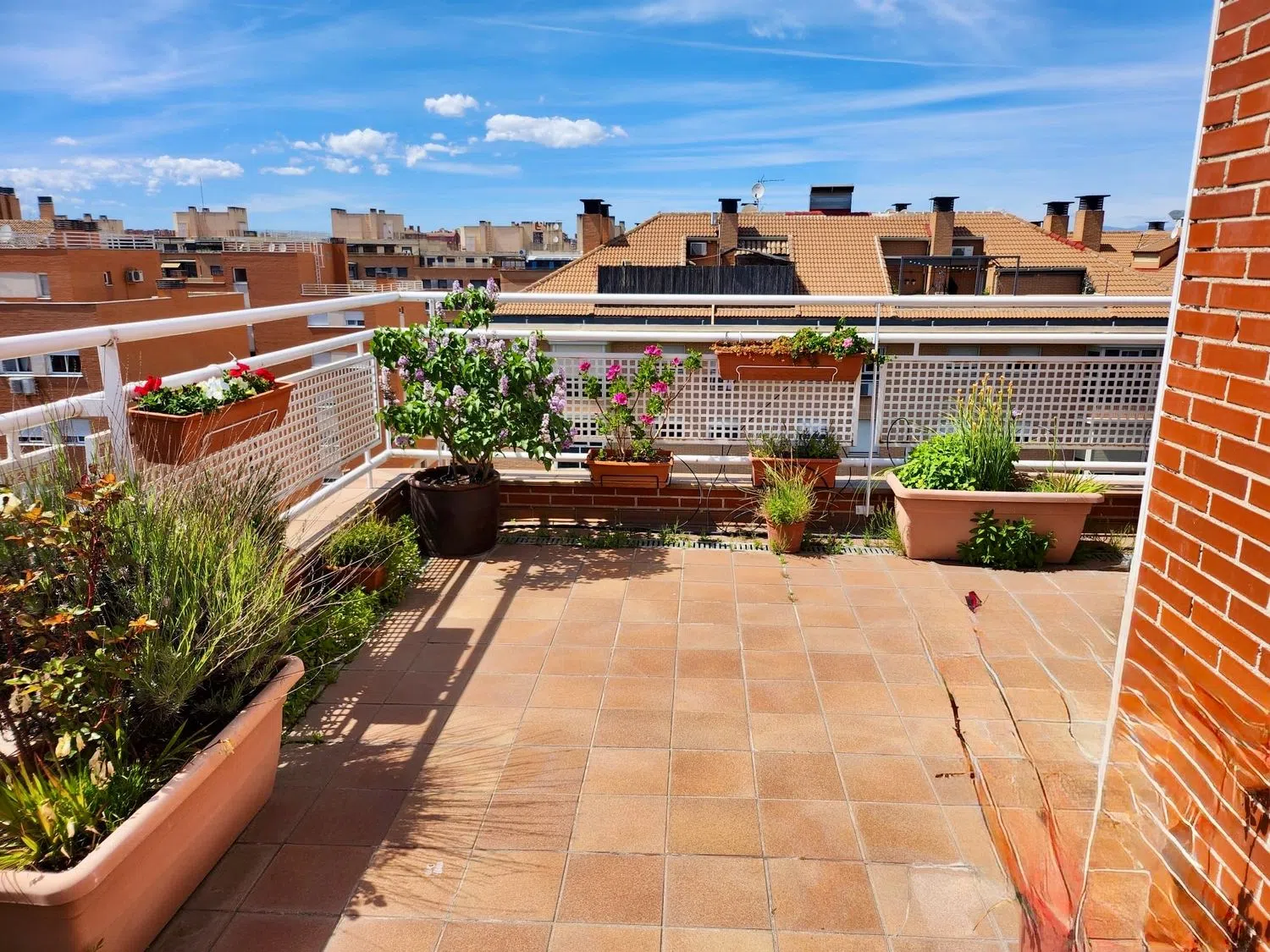 Ático en calle Antonio Romero, 14 - Foto 15