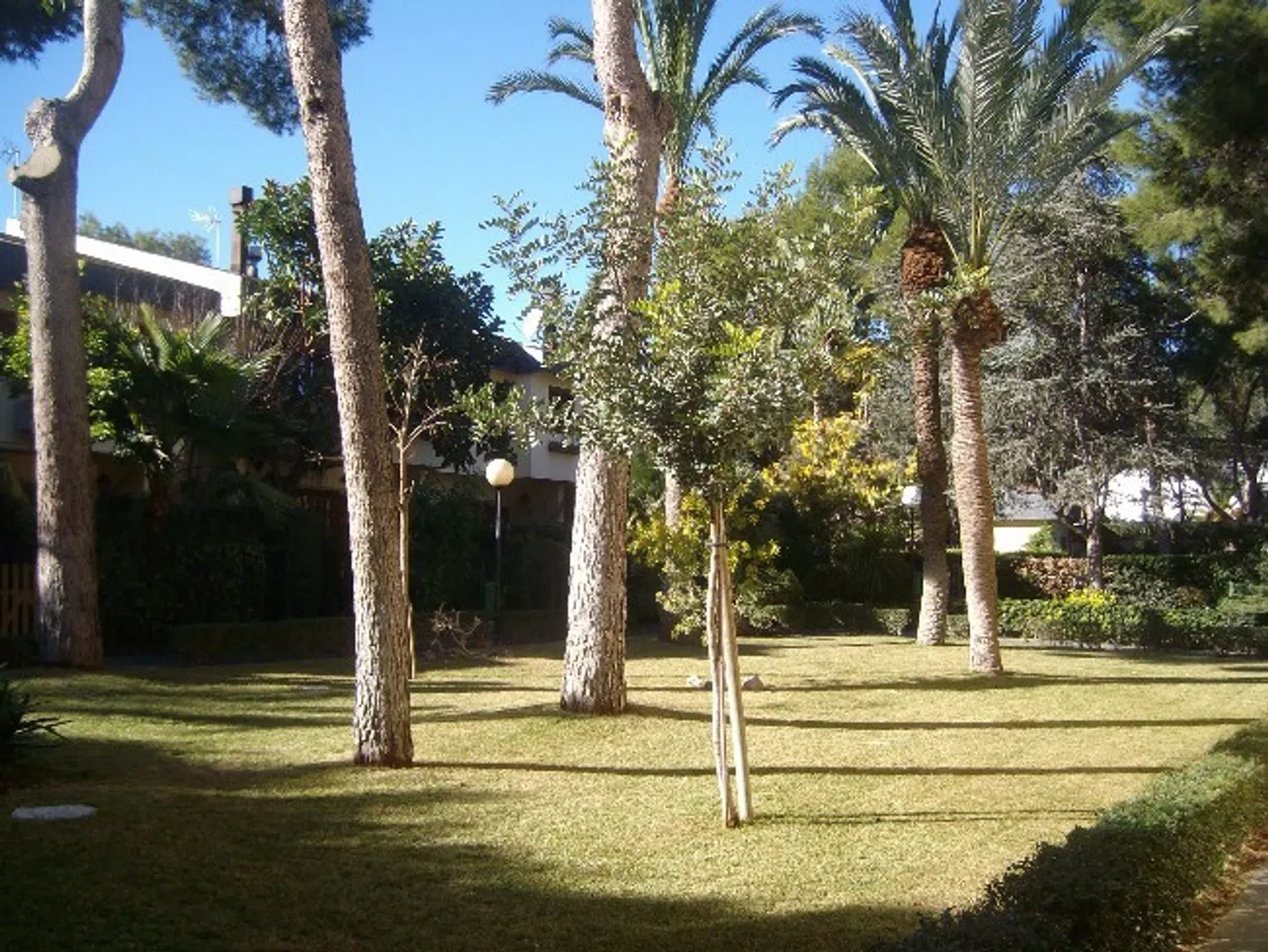 Dúplex en calle Guillem Tatay, 19 - Foto 19