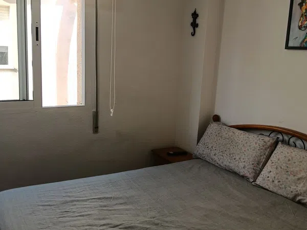 Chalet adosado en Calle Nicolás de Bussi, 44, Playa Flamenca - Foto 22